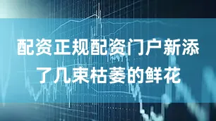 配资正规配资门户新添了几束枯萎的鲜花
