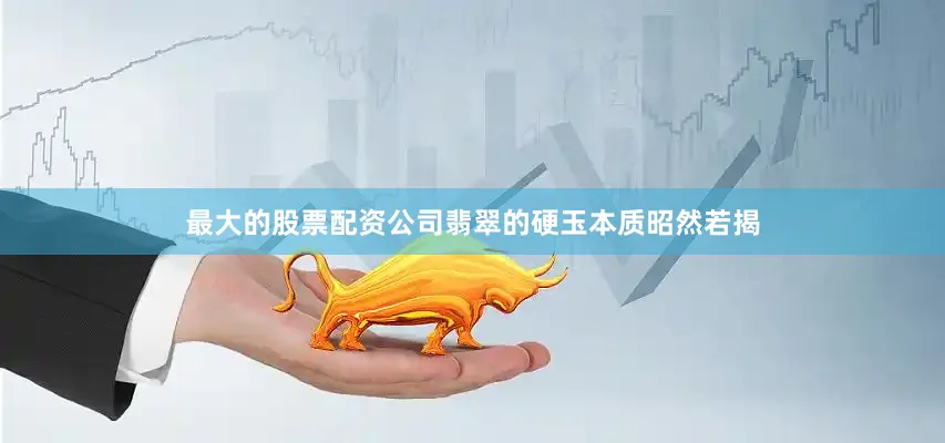 最大的股票配资公司翡翠的硬玉本质昭然若揭